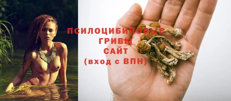 Псилоцибиновые грибы Psilocybe  что такое наркотик  mega как зайти  Радужный 